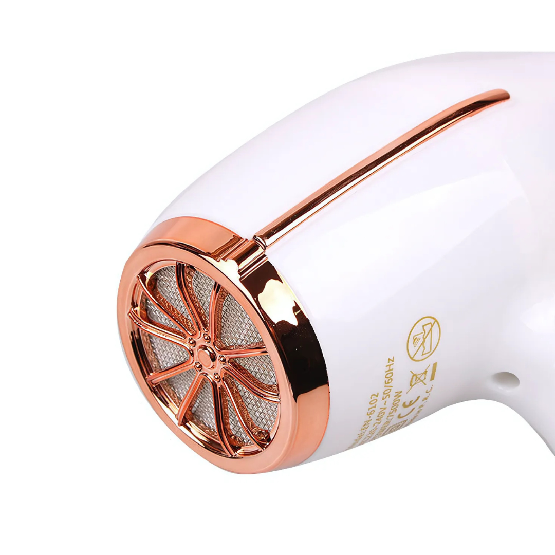 ENZO EN-6102 Professional Hair Dryer with Custom AC Motor